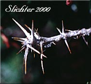 Spiny nodes of Bristly Currant, Bristly Black Gooseberry, Prickly Currant, Swamp Currant, Swamp Gooseberry: Ribes lacustre (Synonyms: Limnobotrya lacustris, Ribes lacustre var. parvulum, Ribes oxycanthoides var. lacustre)
