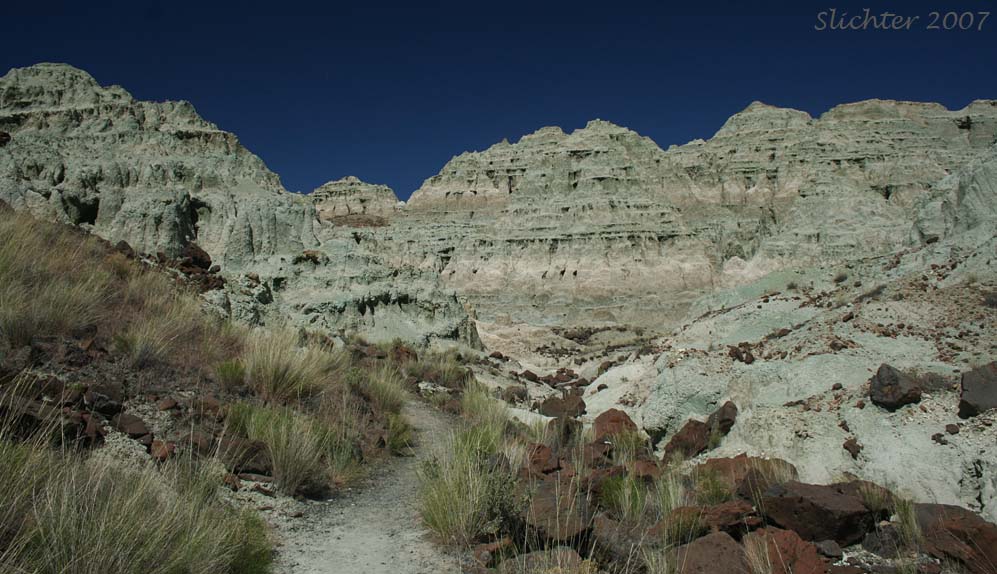 Blue Basin: Sheep Rock Unit, John Day Fossil Beds National Monument