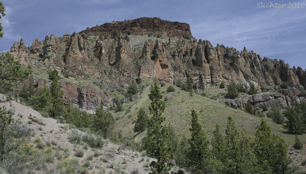 Rock outcrop along OR Highway 218 several miles east of Camp Hancock..........May 16,2010.