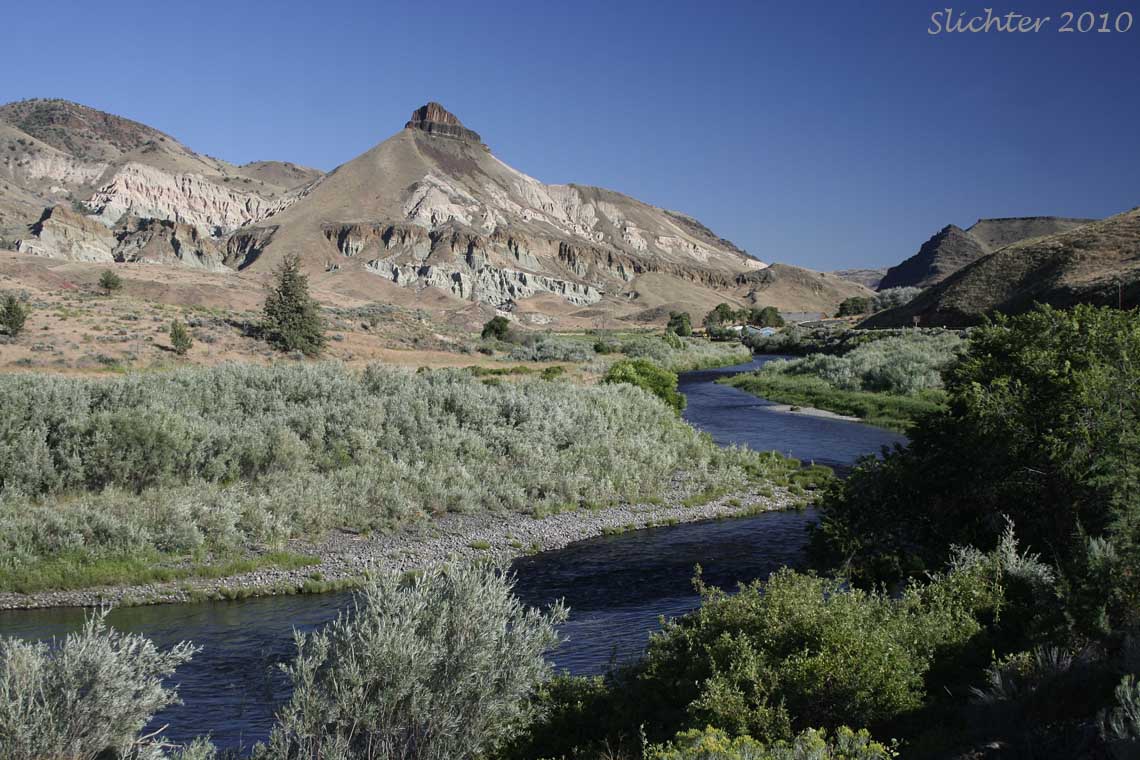 Sheep Rock, John Day Fossil Beds National Monument............July 18, 2010.