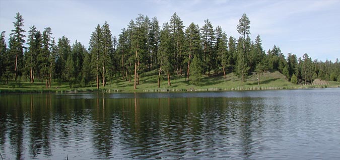 Bull Prairie Lake:  Umatilla N.F.........June 16, 2001