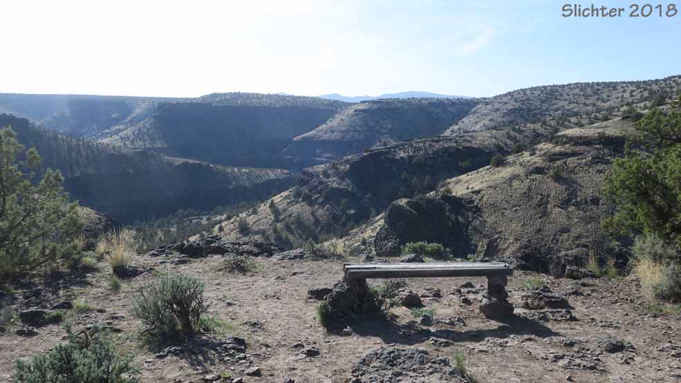 A viewing bench near Chimney Rock, Lower Crooked Wild and Scenic River........April 24, 2018.