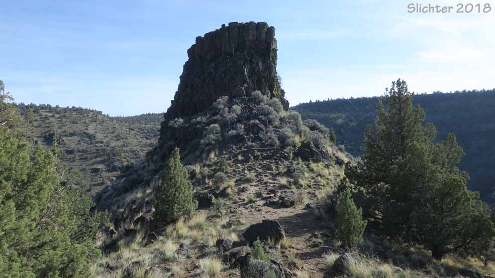 Chimney Rock, Lower Crooked Wild and Scenic River.......April 24, 2018.