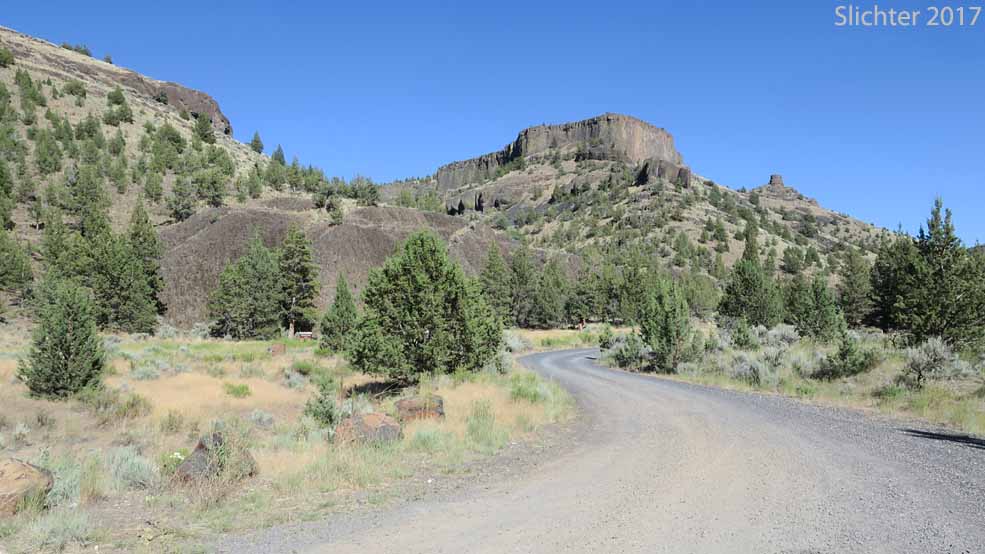 Chimney Rock as seen from Chimney Rock Campground (BLM).........July 11, 2017.