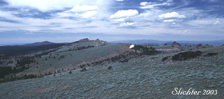 A view north from Monument Rock towards Lookout Mt. in the Monument Rock Wilderness.