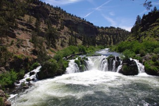 Steelhead Falls (BLM)  Crook County, OR.  Pic by Stu Garrett (High Desert Chapter NPSO).