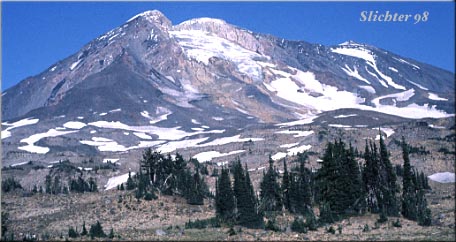 The southwest slopes of Mt. Adams from Horseshoe Meadows.........early 1980s.