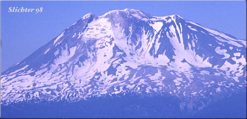 The south side of Mt. Adams from Flattop Mt........mid 1970s.